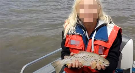 tasmanian couple trout video|Warning as video showing Aussie couple in alleged sex act with。